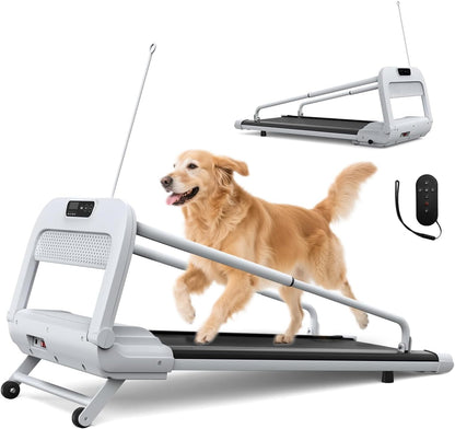 Quiet Dog Treadmill – Compact Indoor Running Machine for Small & Medium Dogs
