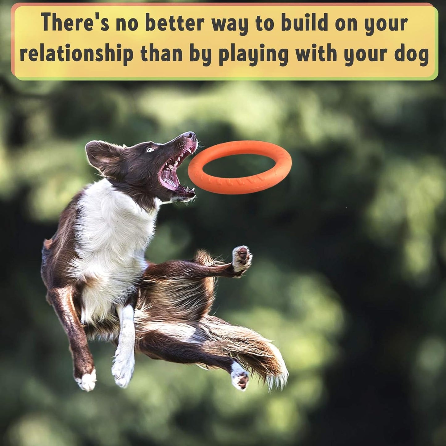 Floating Dog Training Ring – Interactive Pull & Toss Toy for Active Dogs