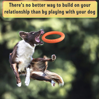 Floating Dog Training Ring – Interactive Pull & Toss Toy for Active Dogs