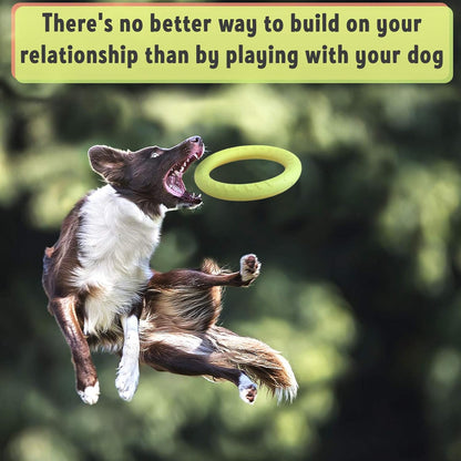 Floating Dog Training Ring – Interactive Pull & Toss Toy for Active Dogs