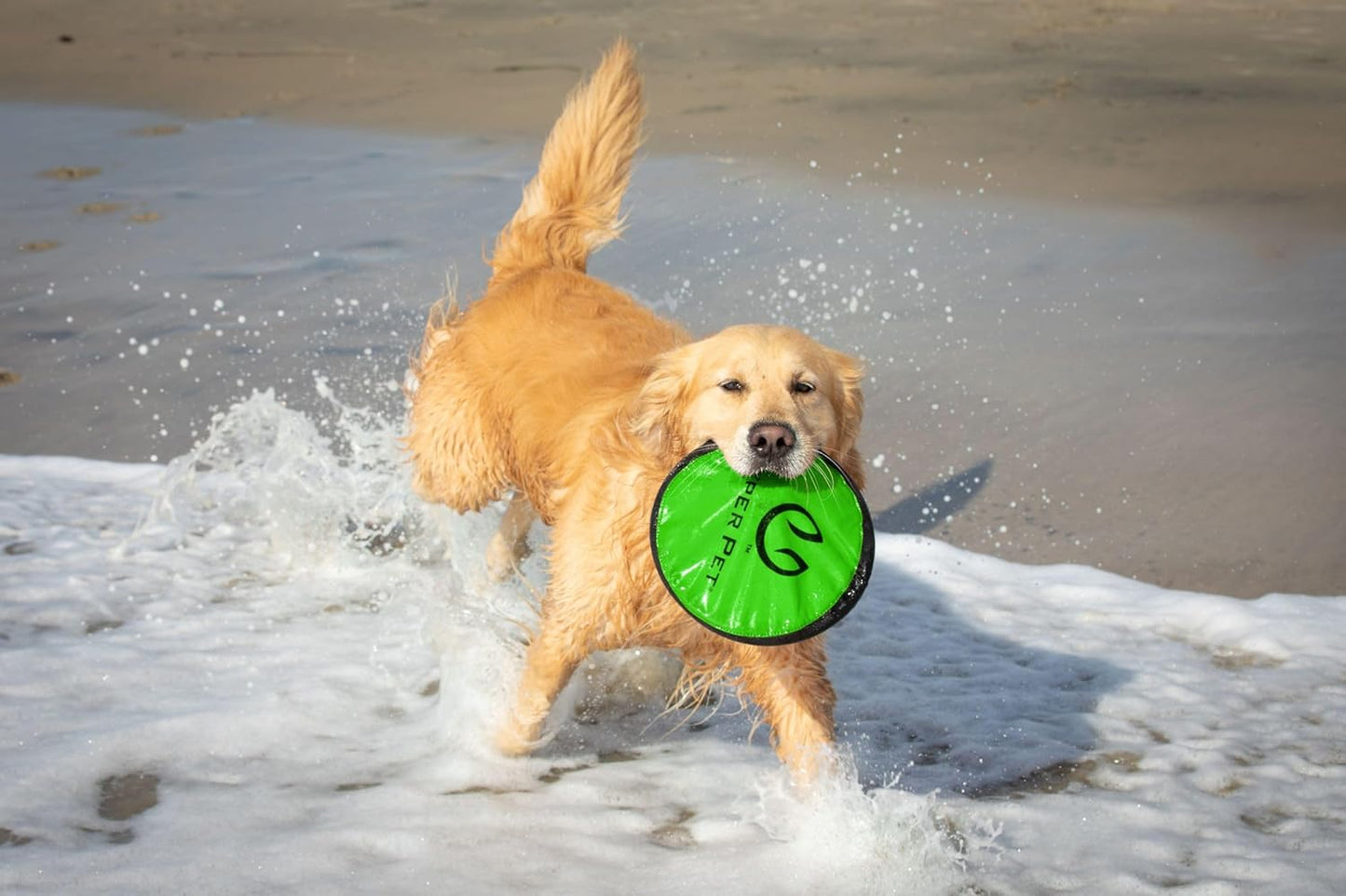 Soft Flying Disc Dog Toy, 9" Floating Frisbee for All Breeds, Gentle on Teeth, 2-Pack