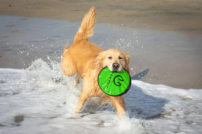 Soft Flying Disc Dog Toy, 9" Floating Frisbee for All Breeds, Gentle on Teeth, 2-Pack