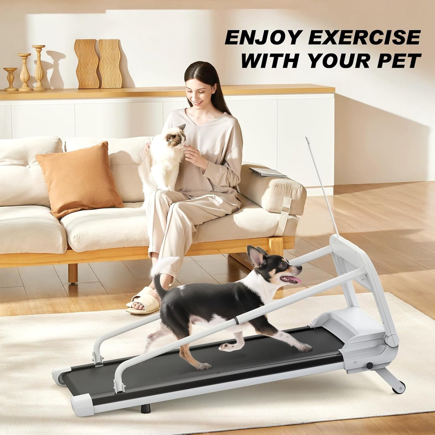 Quiet Dog Treadmill – Compact Indoor Running Machine for Small & Medium Dogs