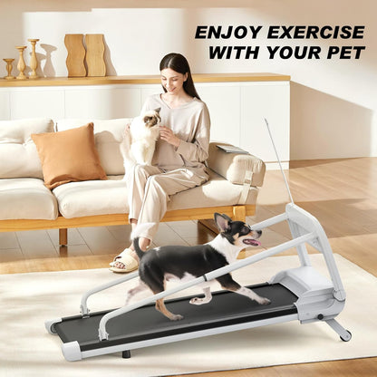 Quiet Dog Treadmill – Compact Indoor Running Machine for Small & Medium Dogs
