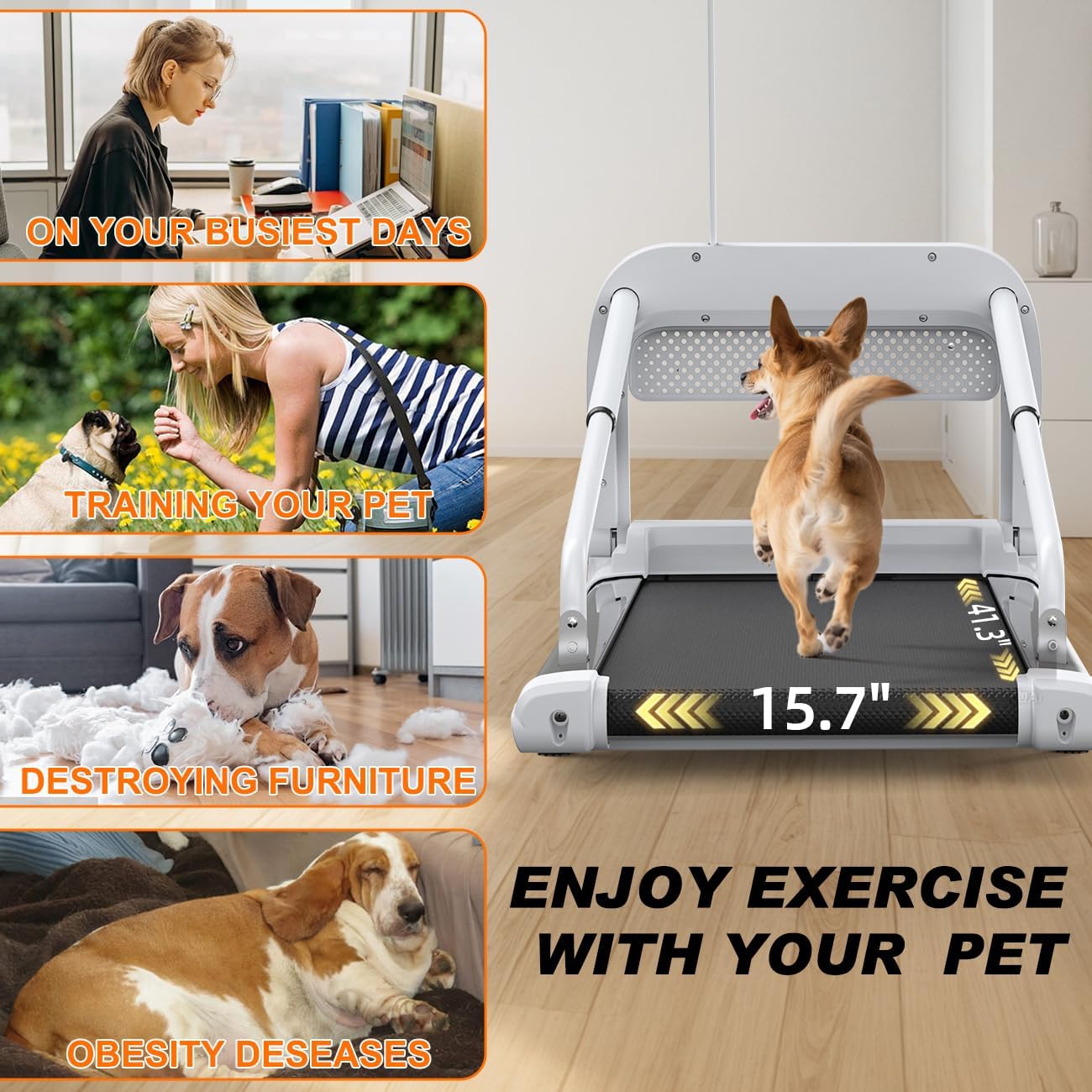 Quiet Dog Treadmill – Compact Indoor Running Machine for Small & Medium Dogs
