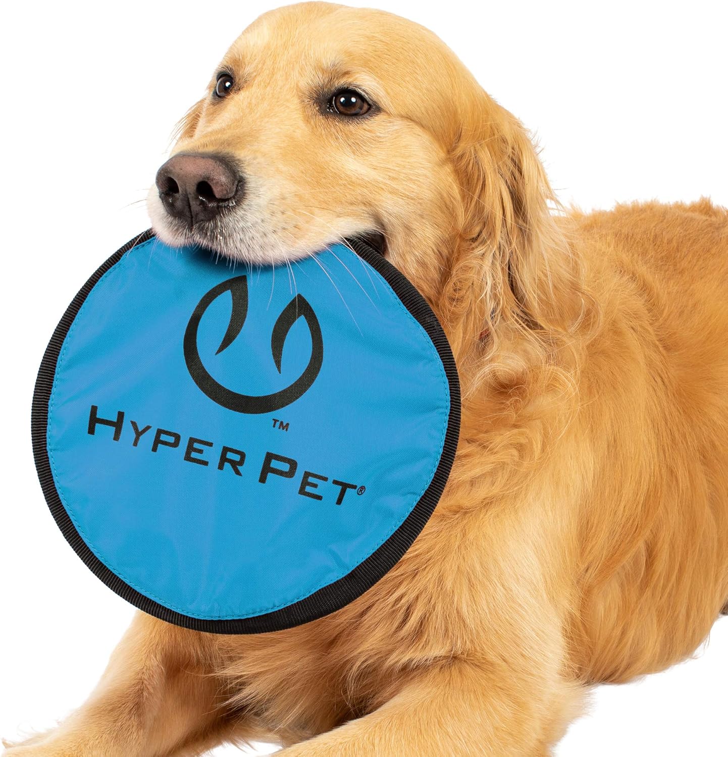 Soft Flying Disc Dog Toy, 9" Floating Frisbee for All Breeds, Gentle on Teeth, 2-Pack