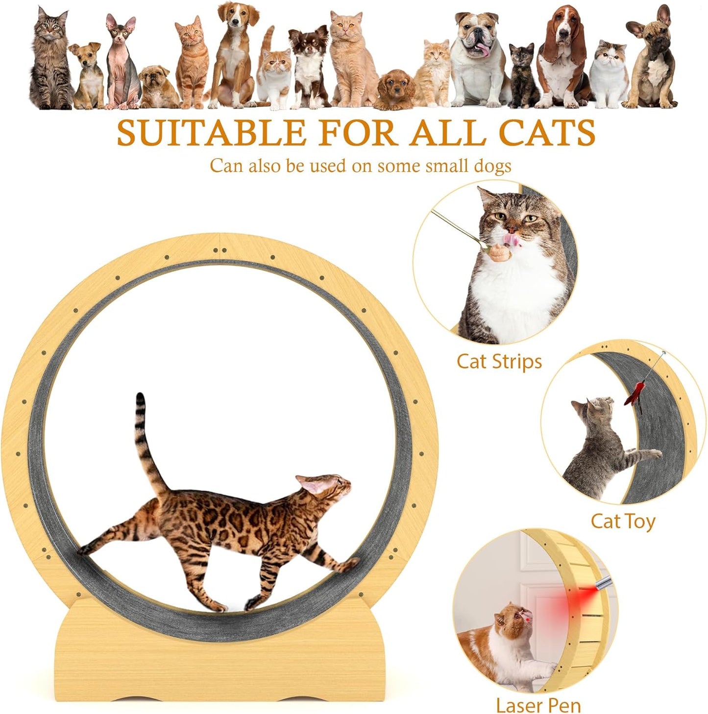 45" Cat Exercise Wheel – Quiet Indoor Running Wheel for Active & Healthy Cats
