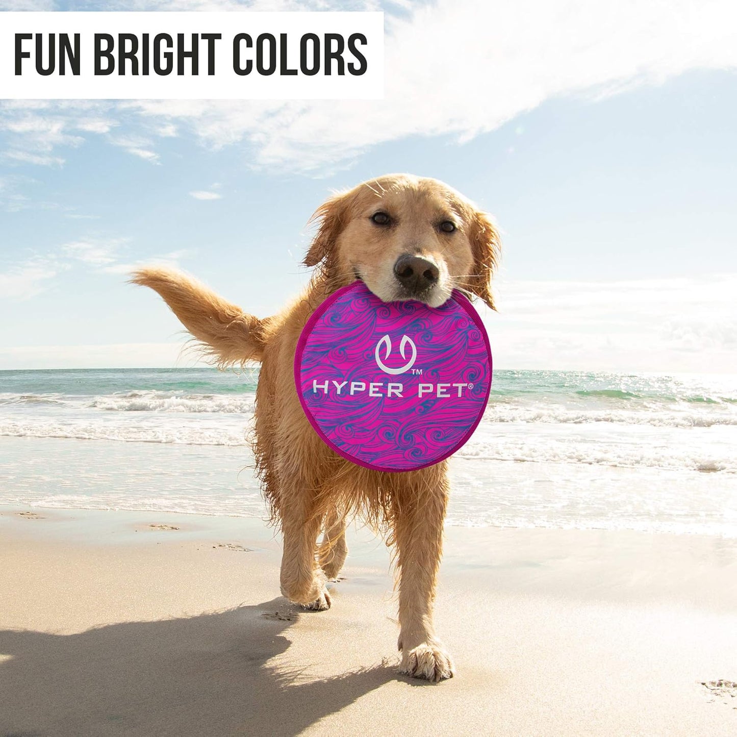 Soft Flying Disc Dog Toy, 9" Floating Frisbee for All Breeds, Gentle on Teeth, 2-Pack