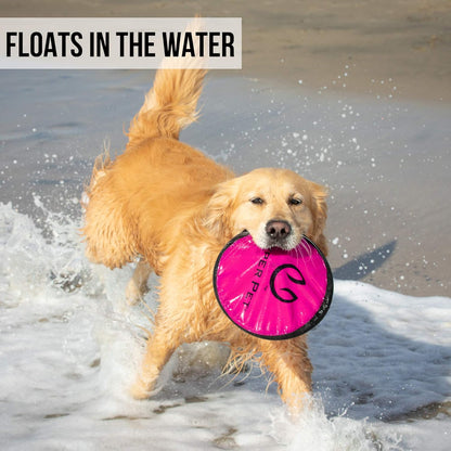 Soft Flying Disc Dog Toy, 9" Floating Frisbee for All Breeds, Gentle on Teeth, 2-Pack
