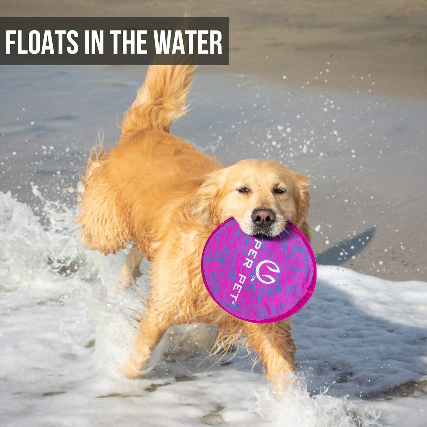 Soft Flying Disc Dog Toy, 9" Floating Frisbee for All Breeds, Gentle on Teeth, 2-Pack