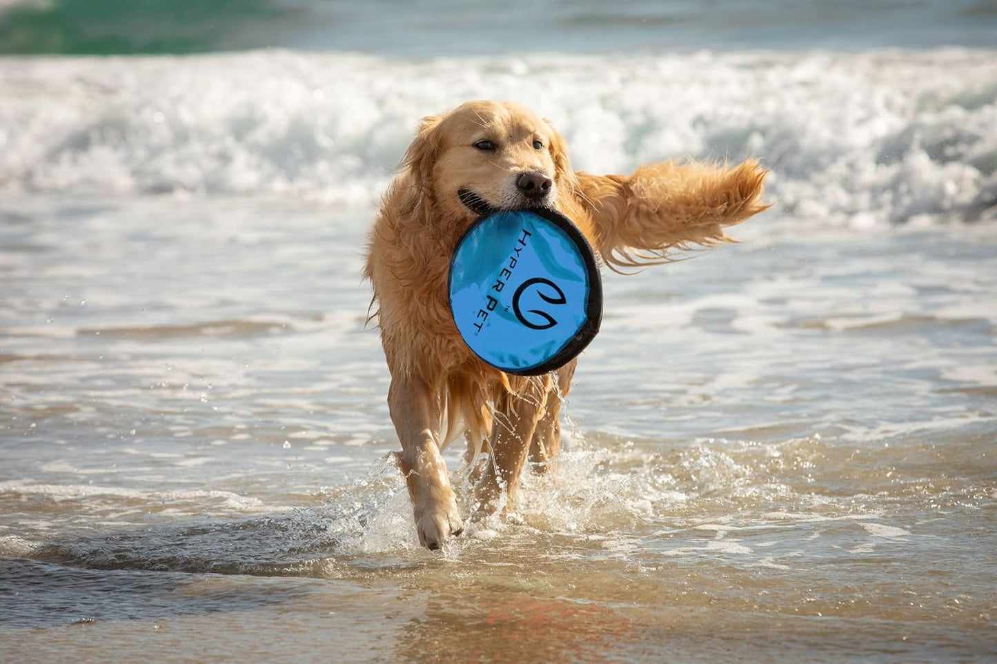 Soft Flying Disc Dog Toy, 9" Floating Frisbee for All Breeds, Gentle on Teeth, 2-Pack