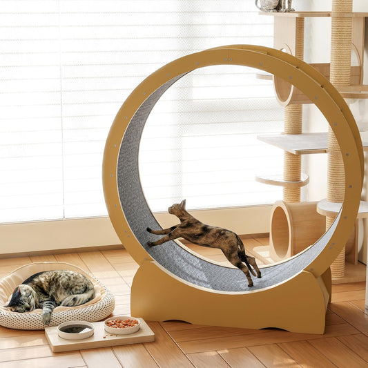 45" Cat Exercise Wheel – Quiet Indoor Running Wheel for Active & Healthy Cats