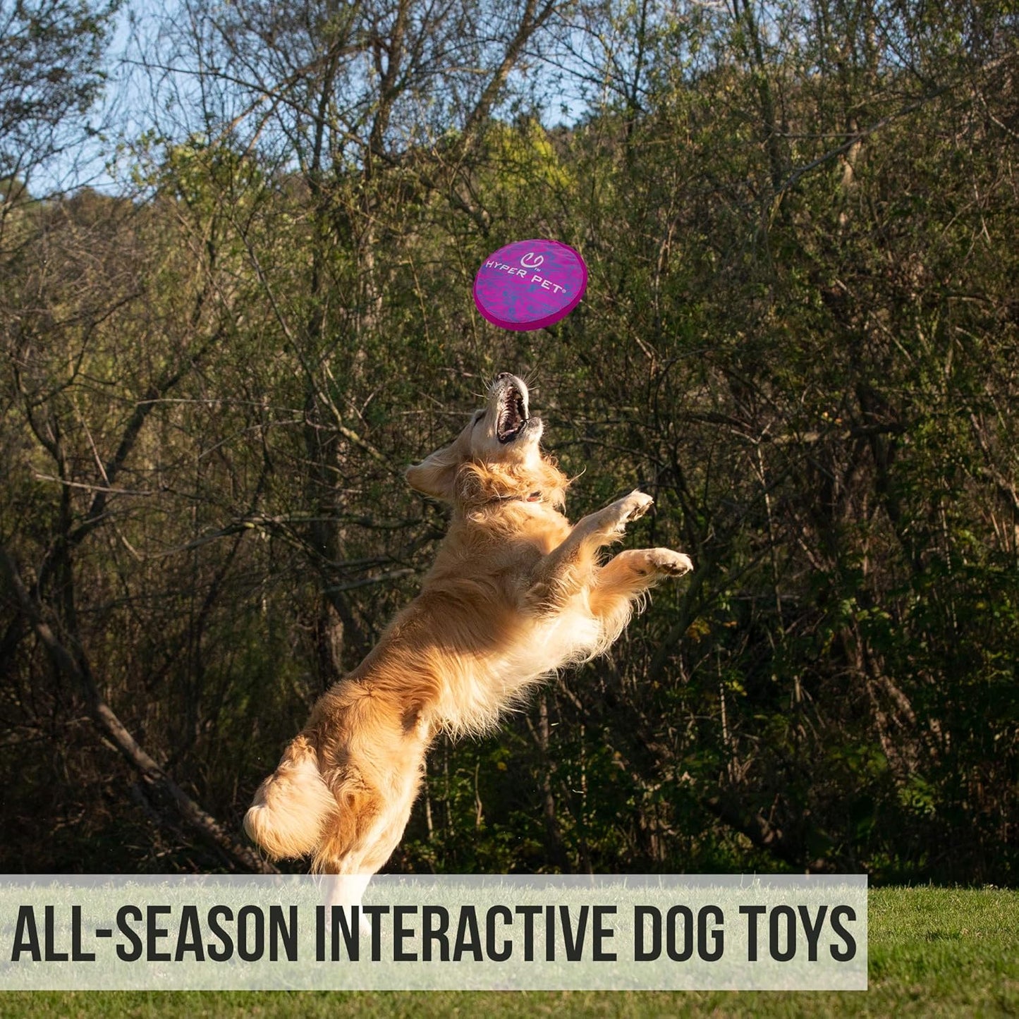 Soft Flying Disc Dog Toy, 9" Floating Frisbee for All Breeds, Gentle on Teeth, 2-Pack